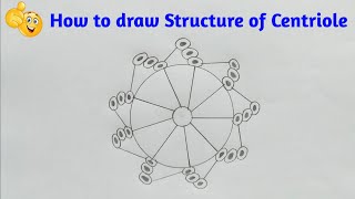 How to draw diagram of Centriole step by step for beginners [upl. by Merchant]