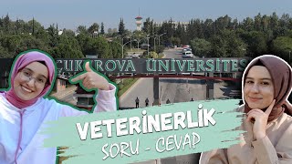 Çukurova Üniversitesi CEYHAN VETERİNER FAKÜLTESİ  SORU  CEVAP [upl. by Natfa]