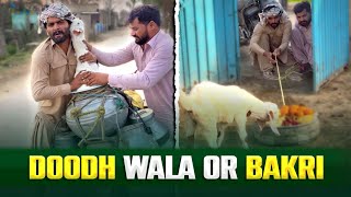 Doodh Wale Nay Bakri Kyon Uthai 🐐🥛  Funny Video  UrduHindi [upl. by Nonek539]