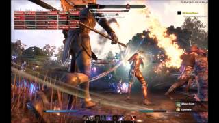 Elder Scrolls Online  PvP Massive battle between AD and EP [upl. by Lasley]