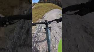 Der Schwalbe Nobby Nic Test 🚴‍♀️ Reifen MTB trail enduro emtb radicallifestudios [upl. by Scrivenor]