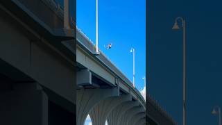 CLIFF JUMP FROM HUGE BRIDGE😨 [upl. by Goff390]