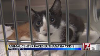 Wake County Animal Center facing euthanasia crisis [upl. by Vida]