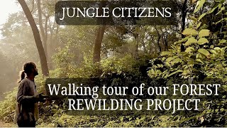 Join us on our LAST WALK through our TROPICAL FOREST restoration sitewith narration tips amp tricks [upl. by Anerul214]