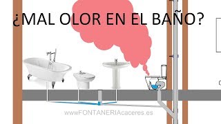 Mal olor en el baño  De donde viene y como evitar el mal olor en casa [upl. by Orabel]