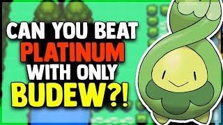 Can You Beat Pokemon Platinum with only a Budew [upl. by Leacim]