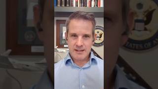 Adam Kinzinger gives FULL DETAILS of Trump Stink… BUCKLE UP [upl. by Proffitt]