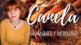 CANELA  Uso MAGICO y MEDICINAL [upl. by Anitsuga]