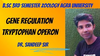 Tryptophan Operon  Bsc 3rd sem zoology Regulation of gene expression in prokaryotes [upl. by Sivia]