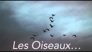 Kaaris  Les Oiseaux Instrumental by Orse [upl. by Rochella]