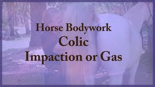 Horse Bodywork  Colic  Impaction or Gas Relief [upl. by Htiduy]