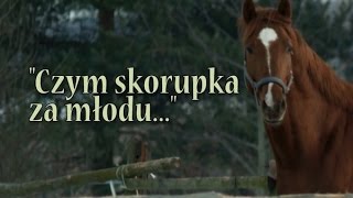 Czym skorupka za młodu  Filmowe Portrety Sportowe  tylkoskokipl [upl. by Alimat]