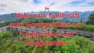 Im Naturpark Gantrisch vom Gurnigel über den Gäggersteg zum Guggershorn [upl. by Clayton]