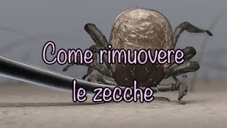 Come rimuovere le zecche [upl. by Farnsworth]