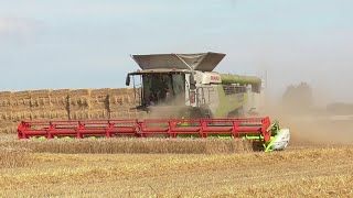 claas 8900 lexion amp new holland cr990 harvesting wheat  14 aug 2024 [upl. by Immak]