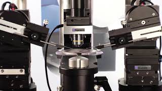 Scientificas SliceScope Pro Systems Overview [upl. by Michelle]