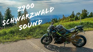 Z900  Sound  Schwarzwald 2 [upl. by Lauryn938]