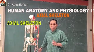 HUMAN ANATOMY and PHYSIOLOGY Lab 6  AXIAL SKELETON [upl. by Ripley902]