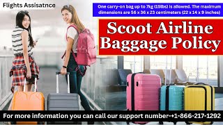 Scoot Airline Baggage Policy  Hand Baggage And Checked In Baggage [upl. by Herson]