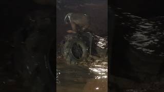 Night Time bounty hole action Full video at WhoDoingWhat mud bountyhole contentcreator [upl. by Ecinna]