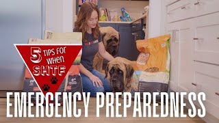 EMERGENCY Preparedness for Dog Owners  5 Tips for When the SHTF  Are YOU Prepared [upl. by Monroe]