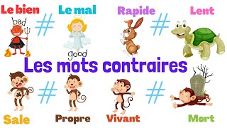 Apprendre les mots contraires en français [upl. by Oesile6]