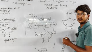 molecular basis of inheritance Class 12th chapter 6 [upl. by Ulrich490]