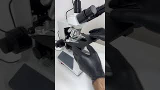 comment for old banana part2 banana funfact fruit science microscope [upl. by Ahsikin]