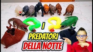 I PREDATORI DELLA NOTTE  Leo Toys [upl. by Revell]