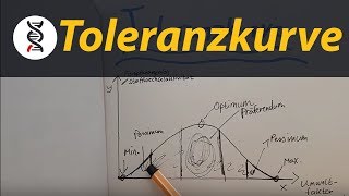 TOLERANZKURVE beschreiben und verstehen ABITUR  studyrunner [upl. by Greggory119]