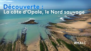 Découverte  la côte dOpale le Nord sauvage [upl. by Jempty822]