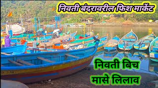 मासे लिलाव निवाती बंदर  Fish market Nivati Beach  Fishing Nivati Beach  Nivati Beach malvan [upl. by Nauhs]