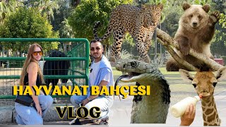 HAYVANAT BAHÇESİ VLOG  Hayvanların Büyülü Dünyası [upl. by Ora]