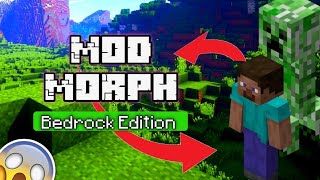 MORPH MOD for Minecraft PE BEDROCK  DOWNLOAD [upl. by Purity]