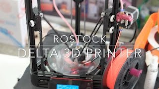 Rostock delta 3d printer [upl. by Nylrebma437]