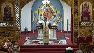 St Maurice Coptic Orthodox Church Live [upl. by Ekusuy319]