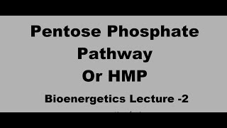 Pentose Phosphate Pathway  NADPH Feedback  Favism  TPP Beri Beri WernickeKorsakoff PPP HMP [upl. by Elik]