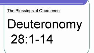 Deuteronomy 28114 [upl. by Notse890]