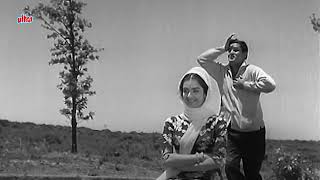 हुस्न चला कुछ ऐसी चाल  Bluffmaster 1963  Shammi Kapoor  Saira Banu Rafi amp Latas Timeless Duet [upl. by Hasen]