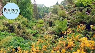 Burkes Backyard The Lost Gardens Of Heligan England [upl. by Drawoh742]