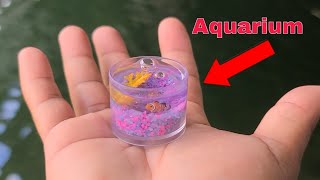 WORLDS SMALLEST Fish AQUARIUM [upl. by Barabas]