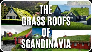 Why are GREEN  GRASS ROOF common in Scandinavia [upl. by Leummas]