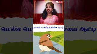 சிட்டுக்குருவி் பிடிக்குமா பாடல் அமலன் ஜெரோம்  Singer Sharon  Tamil Mutram [upl. by Schnur338]