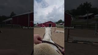 The views are better above ground ridefortyler roadto2k horse Dewey [upl. by Krell]