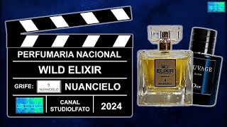 O ELIXIR AMADEIRADO REVIEW DO CONTRATIPO WILD ELIXIR DA NUANCIELO [upl. by Eikcir]