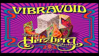 Vibravoid  Live at Burg Herzberg Festival 2011  Ballspeaker official audio [upl. by Dnomasor]