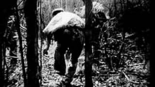 The Viet Cong 19651967  part 1 [upl. by Ynabe6]