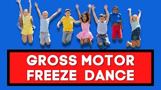 Gross Motor Freeze Dance  Freeze Dance for Kids  Follow Along Activities for Kids [upl. by Randall]