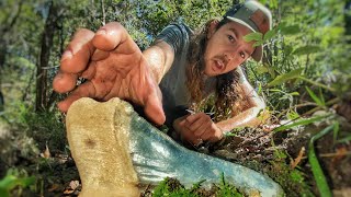 The BEST Megalodon Shark Tooth Hunt I Have Had in a LONG Time Florida Fossil Shark Tooth Hunting [upl. by Ecam]