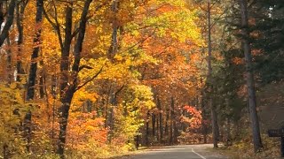 The headwaters of the Mississippi River in autumn colors 密西西比河源头 秋色 travel [upl. by Hairu]